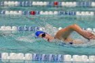 Swimming vs Bentley  Wheaton College Swimming vs Bentley. - Photo By: KEITH NORDSTROM : Wheaton, Swimming, Bentley